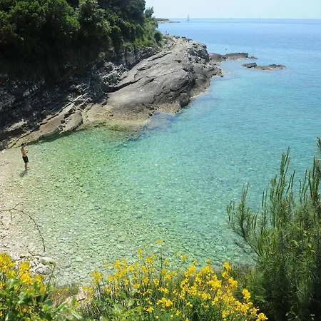 Διαμέρισμα Zepina *